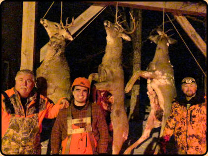 Hunting Deer at Northern Lure